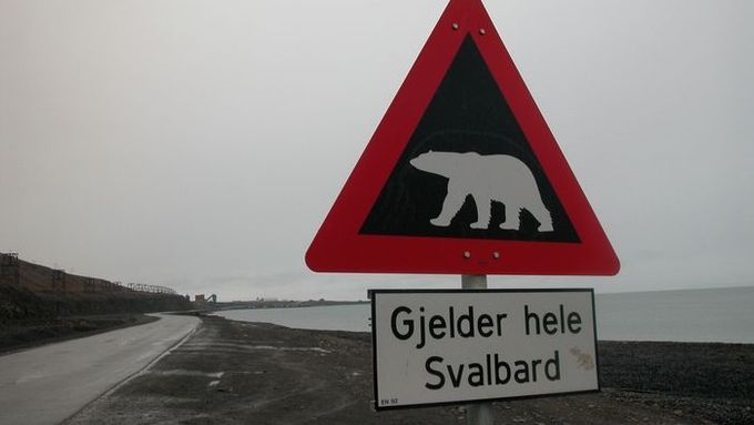 Cedule varující před výskytem ledních medvědů nedaleko města Longyearbyen na Špicberkách