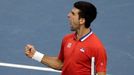 Davis Cup, finále Srbsko-ČR: Novak Djokovič