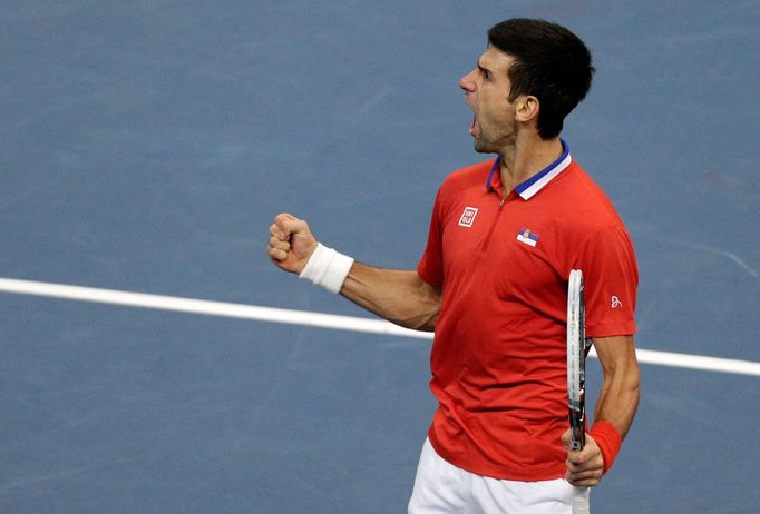 Davis Cup, finále Srbsko-ČR: Novak Djokovič