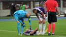 EL, Austria Vídeň-Plzeň: Robert Almer (1) a Alexander Grünwald (10)