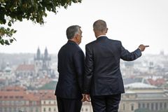 Úplně nepřijatelné. Europoslanci z Babišovy frakce kritizují jeho námluvy s Orbánem