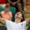 Tenis, Wimbledon, 2013: David Ferrer