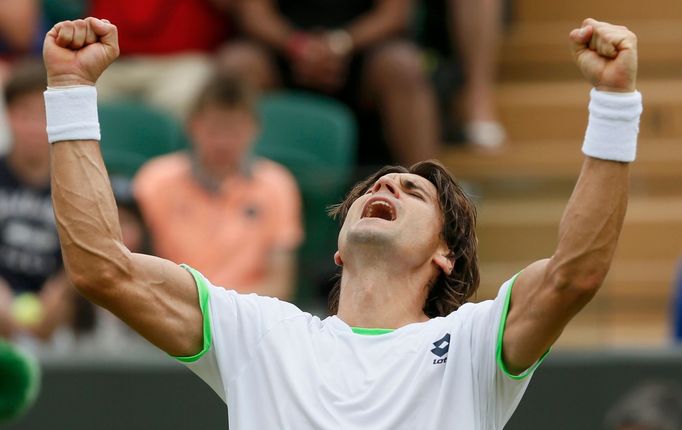 Tenis, Wimbledon, 2013: David Ferrer