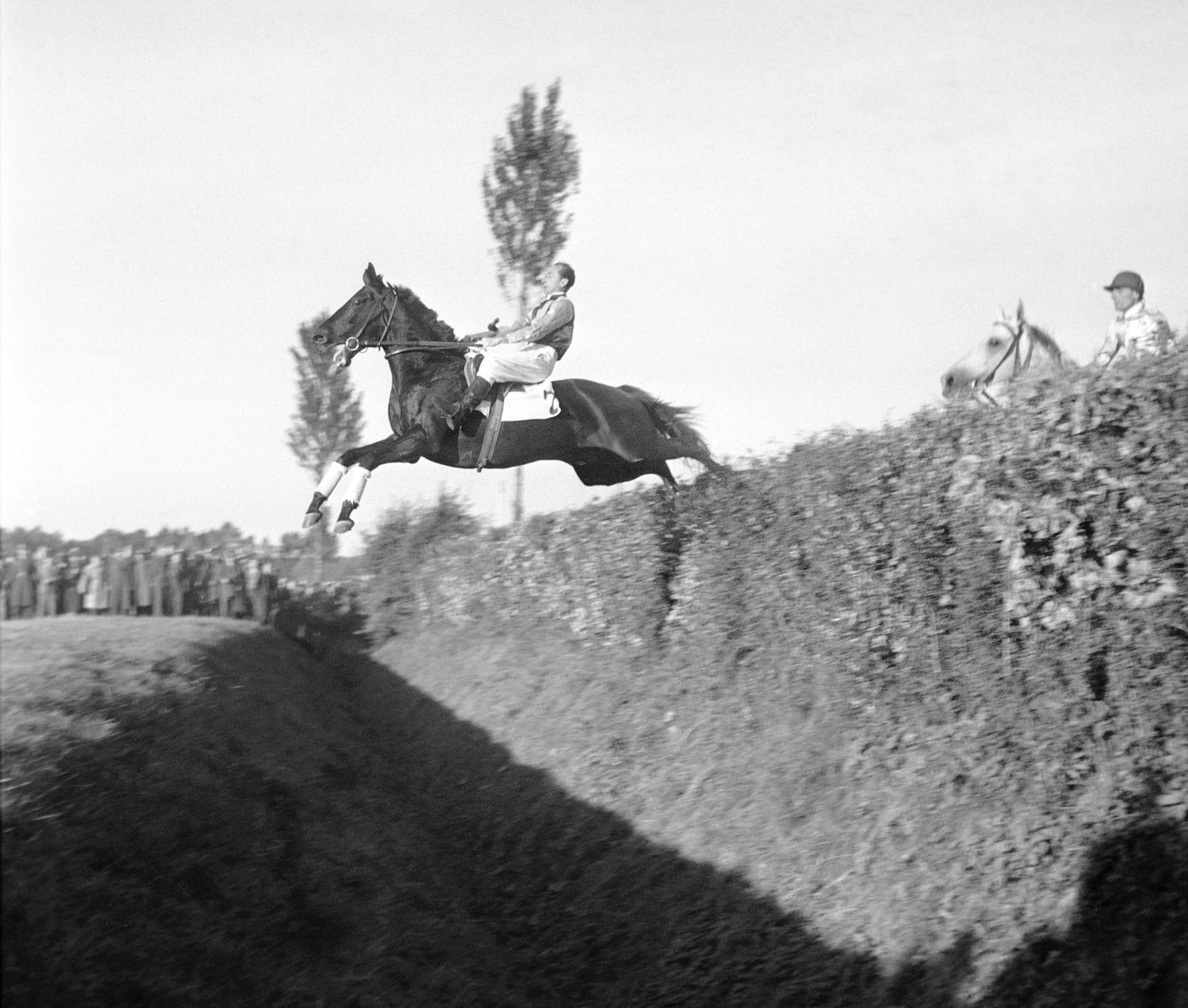 Velká Pardubická, historie, výročí, dostih, dostihy, Pardubice, Sport