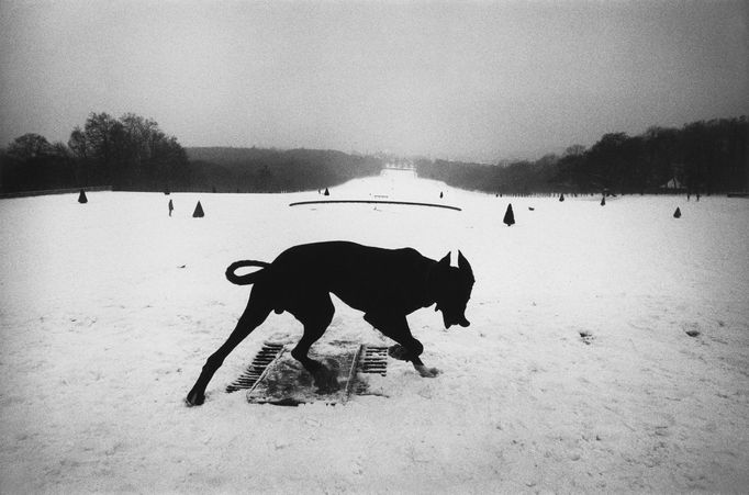 Josef Koudelka: Z cyklu Exily. Hauts-de-Seine, Parc de Sceaux, Francie, 1987.