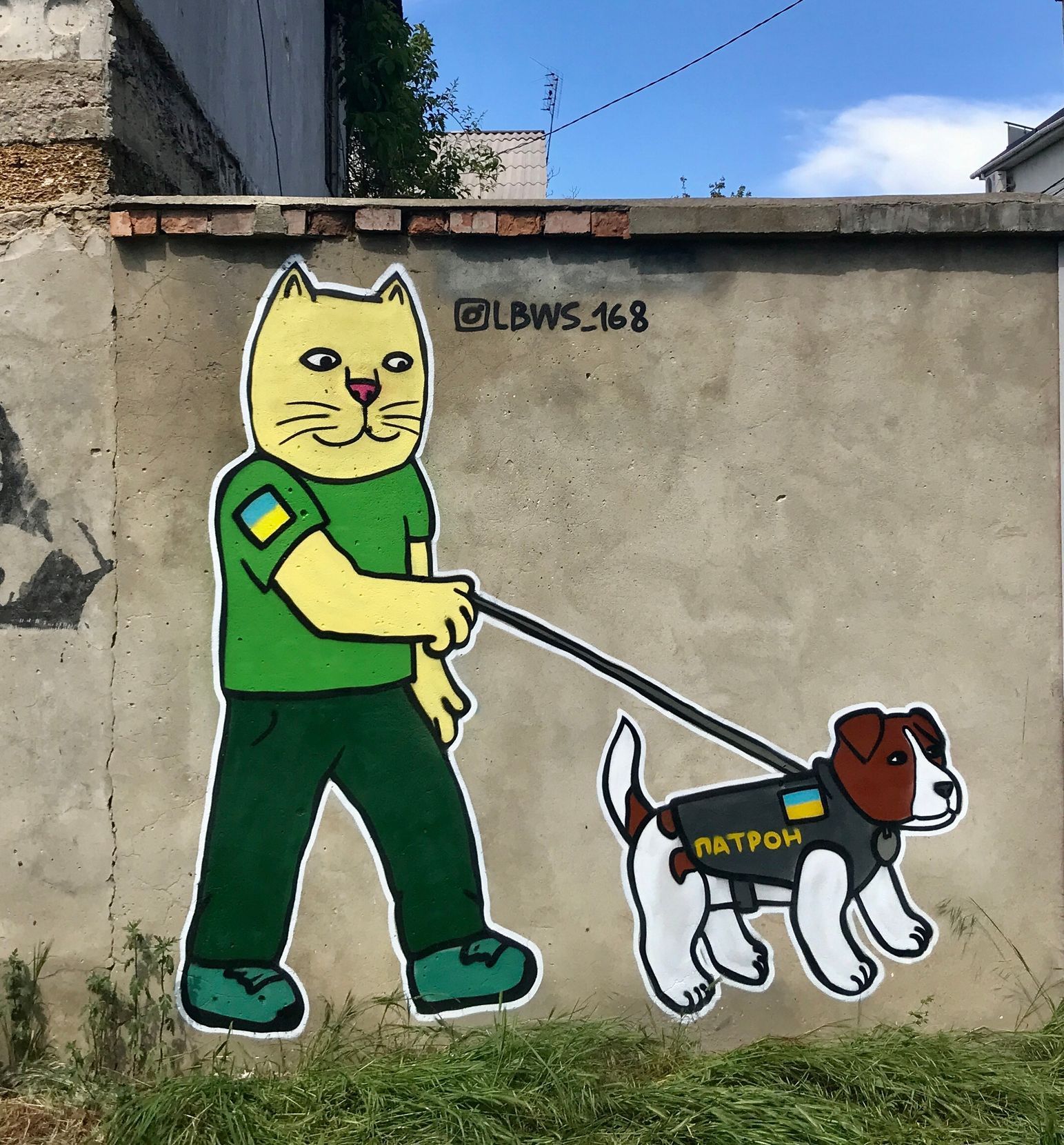 Anonymní graffiti umělec LBWS, Oděsa, Ukrajina, kočky