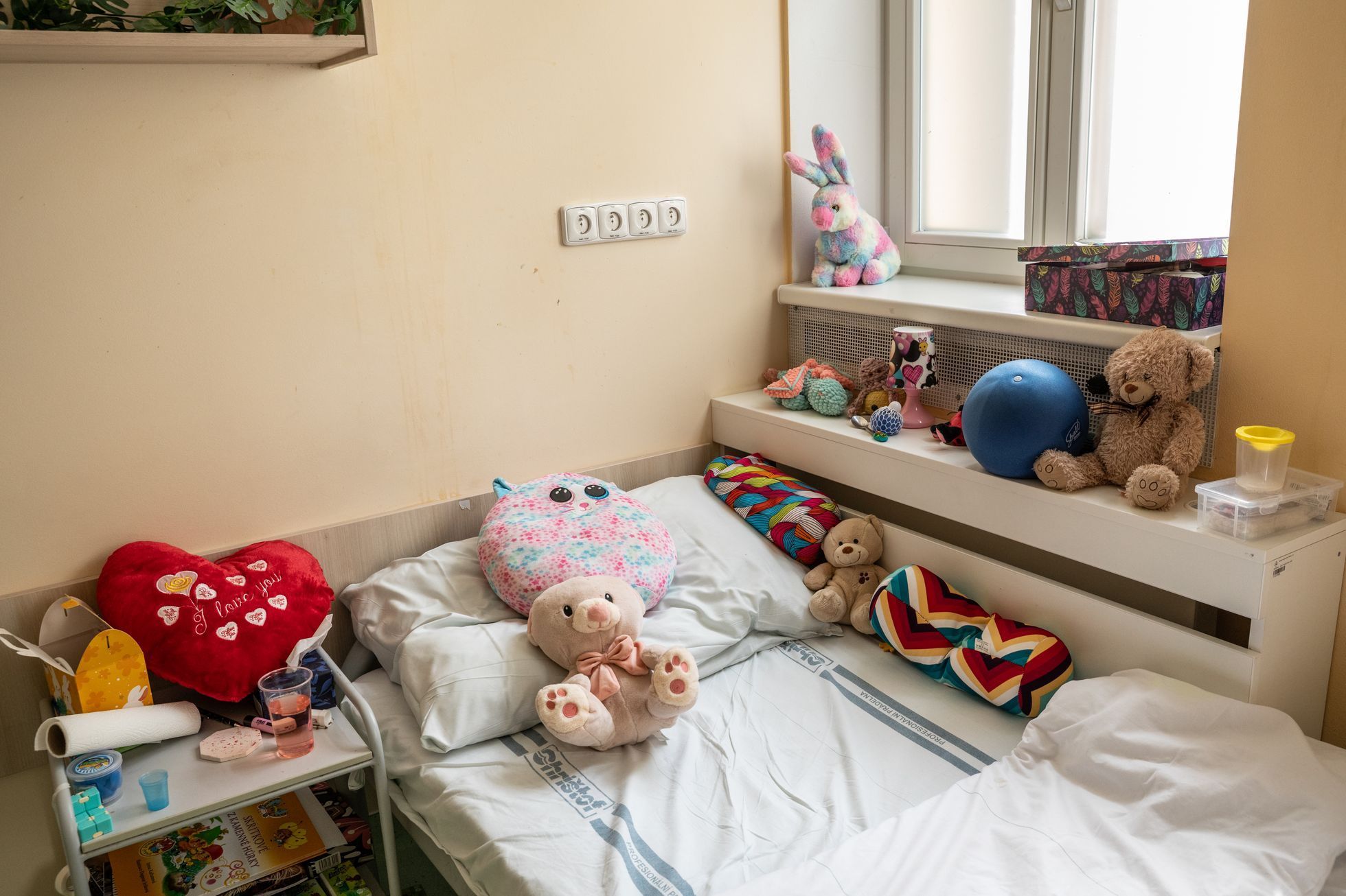 Oddělení dětské a adolescentní psychiatrie Liberec.