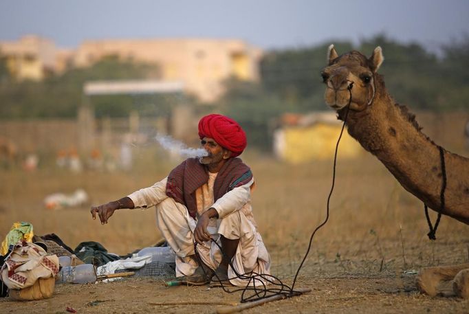 A camel herder smokes on while waiting for customers at Pushkar Fair in the desert Indian state of Rajasthan November 22, 2012. Many international and domestic tourists throng to Pushkar to witness one of the most colourful and popular fairs in India. Thousands of animals, mainly camels, are brought to the fair to be sold and traded. REUTERS/Danish Siddiqui (INDIA - Tags: ANIMALS SOCIETY) Published: Lis. 22, 2012, 4:10 odp.