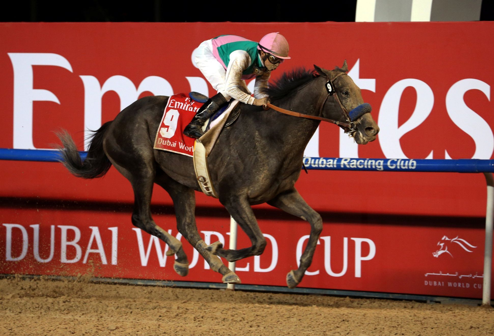 Vítězem Světového poháru v Dubaji se stal kůň Arrogate