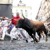 Španělsko, Pamplona, San Fermin, bejci