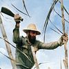 Kubánská revoluce v barvě, Fidel Castro, Kuba, revoluce, historie, Zahraničí