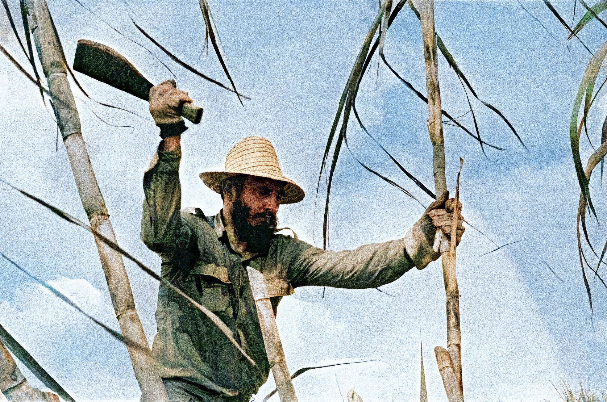 Kubánská revoluce v barvě, Fidel Castro, Kuba, revoluce, historie, Zahraničí