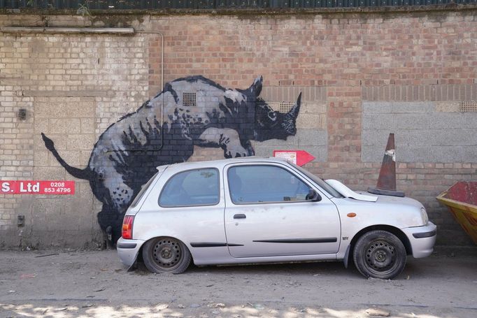 Zatím poslední byl toto pondělí nosorožec nasprejovaný na zeď na ulici Westmoor Street tak, jako by lezl na zaparkované auto.