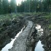 Koleje v Modravě v Národním parku Šumava