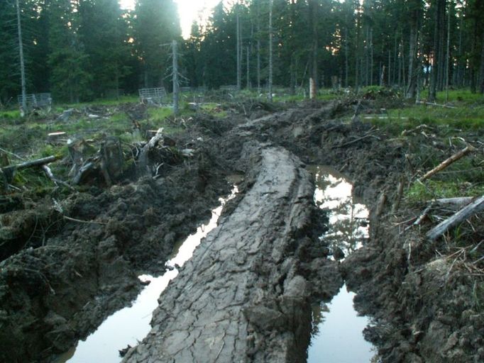 Koleje v Modravě v Národním parku Šumava