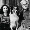 Elizabeth Taylor - Odvážná Lassie 1946