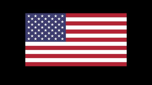 Vlajka USA - sport