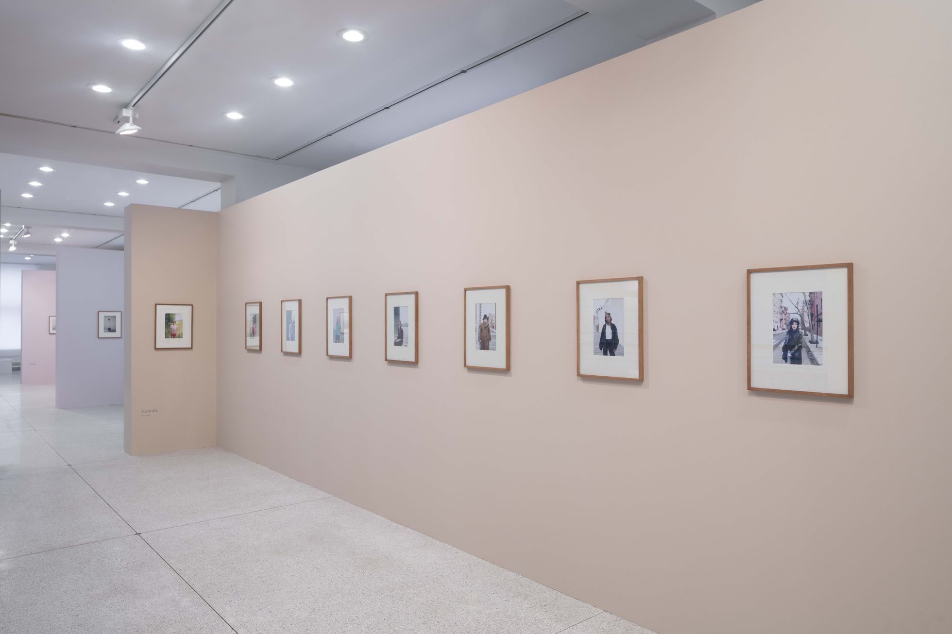 Jitka Hanzlová: Tišiny