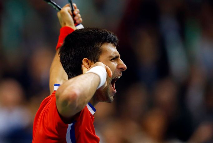 Davis Cup, finále Srbsko-ČR: Novak Djokovič