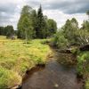 Jednorázové použití / Průvodci divočinou / Šumava