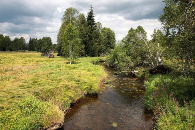 Šumava