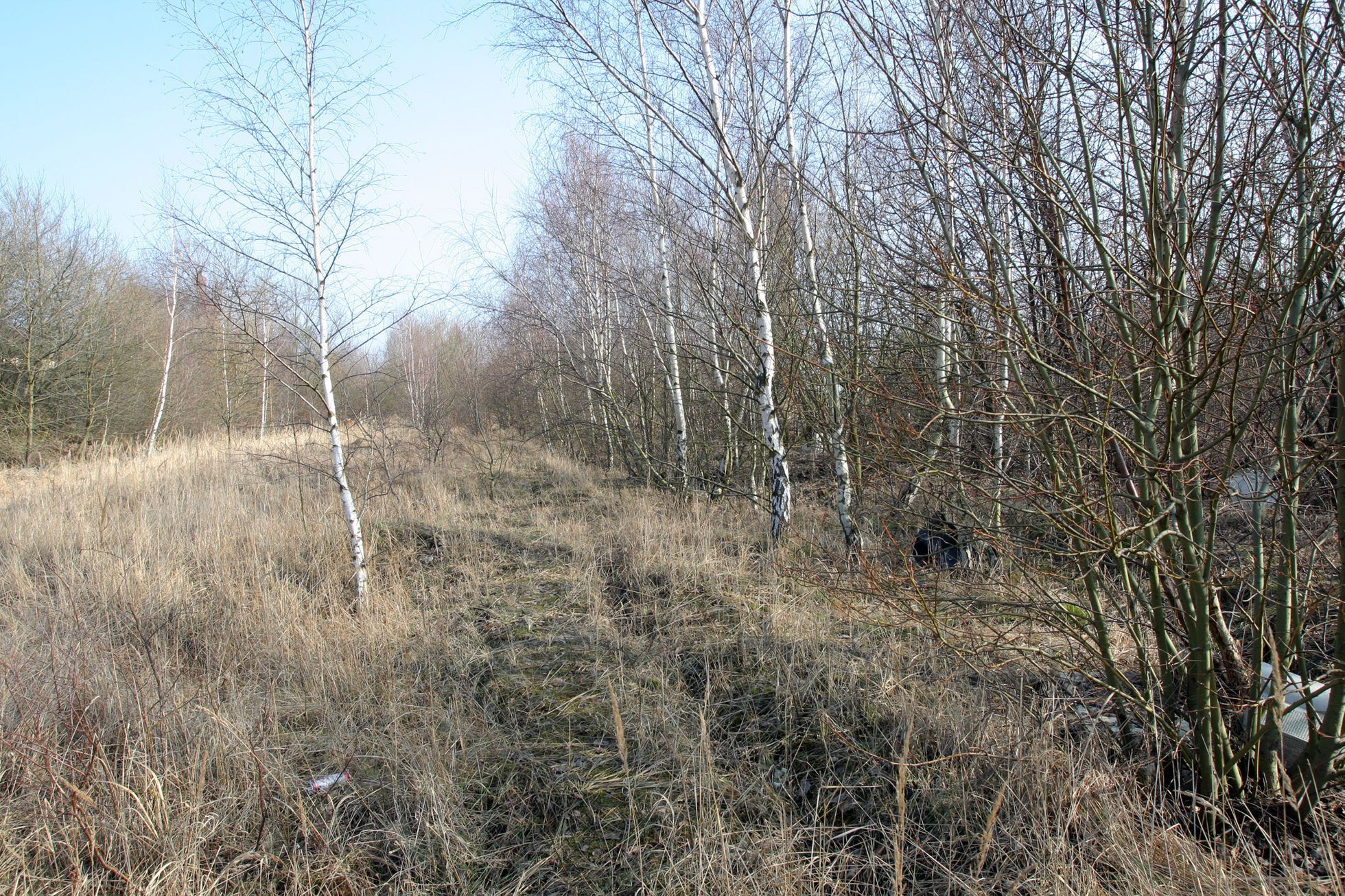Horní Jiřetín