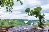V okolí městečka Bad Radkersburg se díky úrodné vulkanické půdě pěstuje především ryzlink vlašský, chardonnay, pinot bílý, sauvignon či muškát. Specialitou je pak klöcherský tramín.