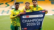 4. Norwich City - Bali Mumba (5000 £ týdně - 149 860 Kč). Norwich je od příchodu do Premier League kritizovaný za to, že nedokáže posílit svůj kádr. Mumba (na snímku vlevo) je důkazem toho, že zrovna na peníze nikoho na východní pobřeží Anglie nejspíš nenalákají.