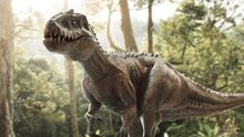 Luxusní kabelka z dinosaura. Vědci pracují na obnovení kůže tyranosaura rexe