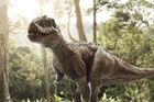 Luxusní kabelka z dinosaura. Vědci pracují na obnovení kůže Tyranosaura rexe