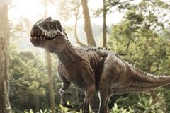 Luxusní kabelka z dinosaura. Vědci pracují na obnovení kůže tyranosaura rexe