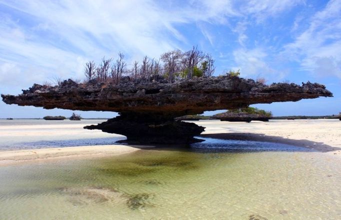 Aldabra: Byl jednou jeden ostrov