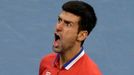 Davis Cup, finále Srbsko-ČR: Novak Djokovič