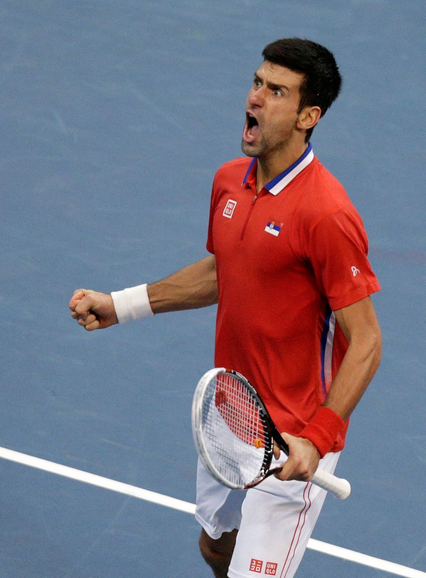 Davis Cup, finále Srbsko-ČR: Novak Djokovič