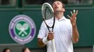 Wimbledon 2014: Štěpánek - Djokovič