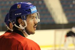 Po předčasném konci v KHL dohraje Stránský sezonu ve Švédsku