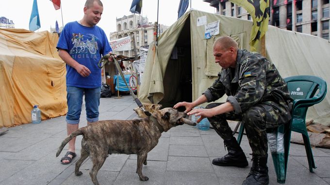 Když lidé utíkali kvůli válce na východě Ukrajiny ze svých domovů, zanechali tam svůj majetek a často i své domácí miláčky. Reportáž RFE/RL mapuje osudy stovek opuštěných ukrajinských psů a koček.