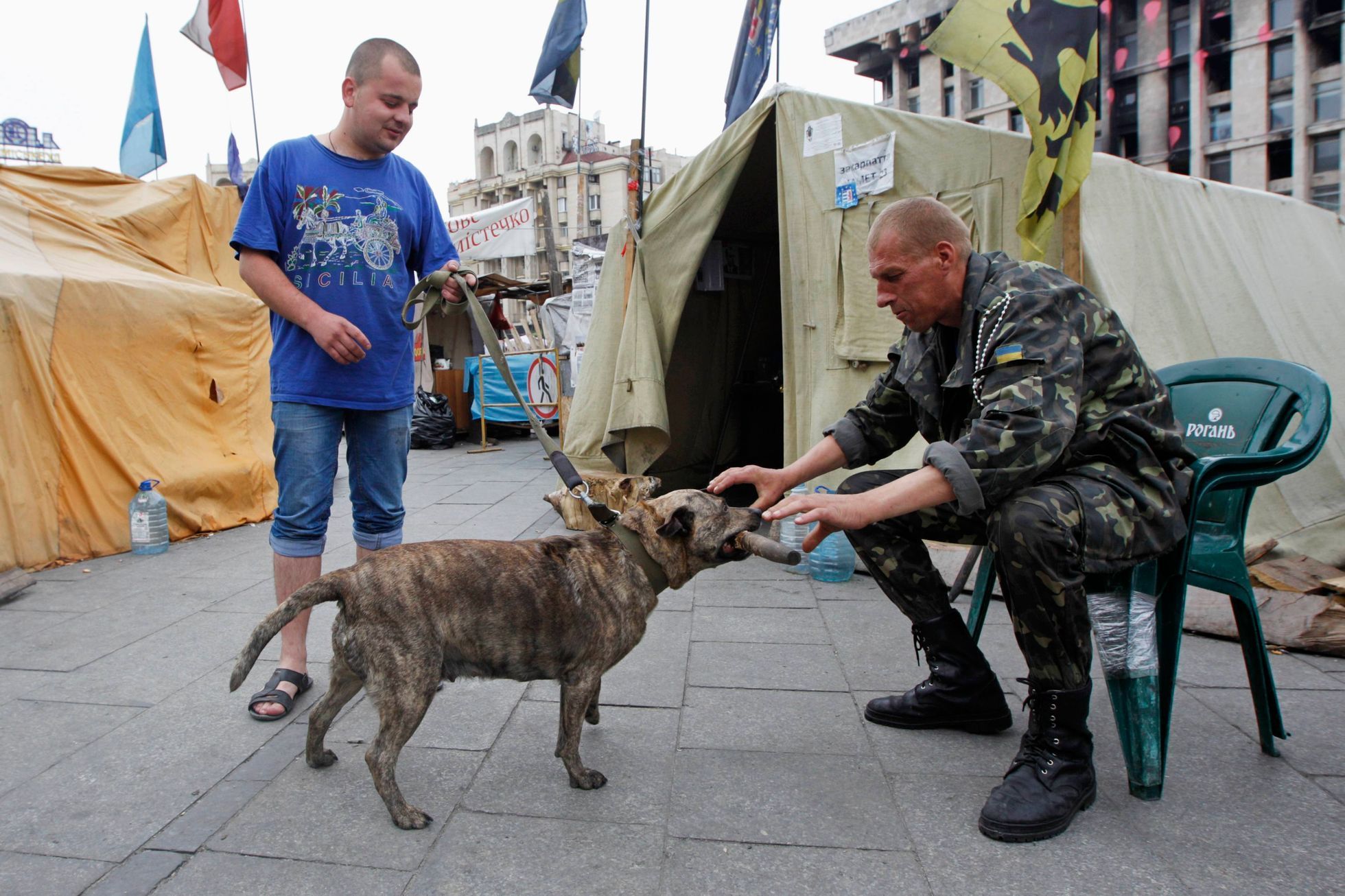 Ukrajina - Majdan - pes