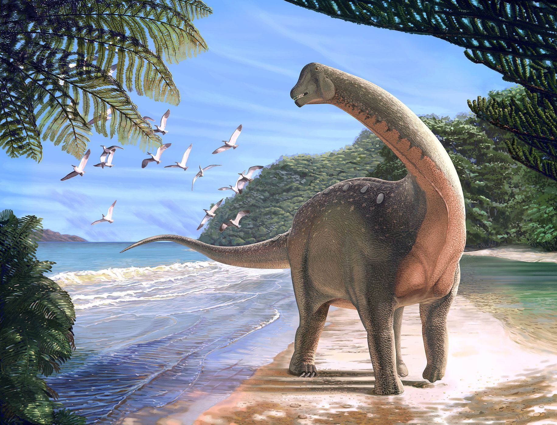 Mansourasaurus - nově objevený druh dinosaura