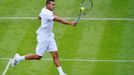 Jo-Wilfried Tsonga v prvním kole Wimbledonu 2013