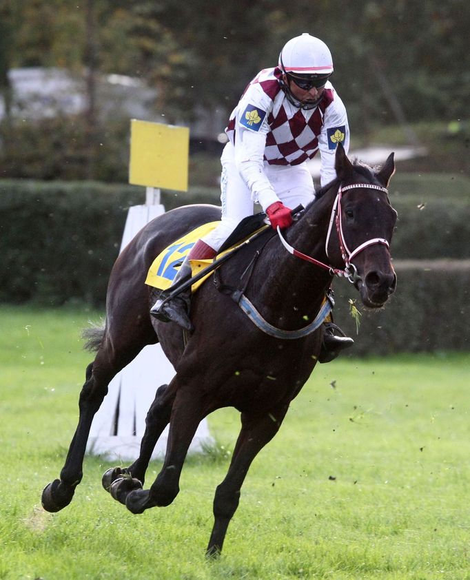 Žokej Josef Váňa na Tiumenovi během Velké pardubické 2012.