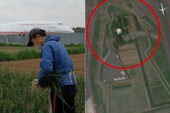 Farmář pěstuje zeleninu přímo mezi ranvejemi. Půdu letišti neprodá ani za miliony
