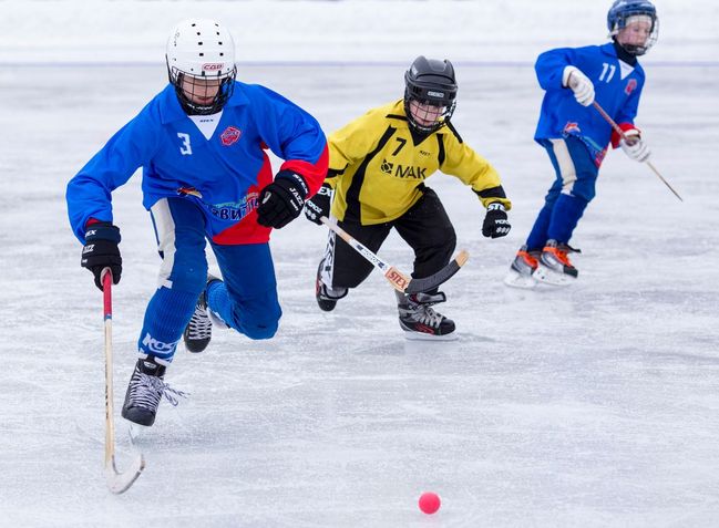 Bandy hokej