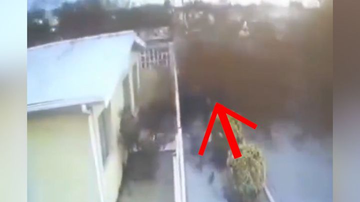 Černý mrak se náhle zřítil na zem. Sebedestruktivní manévr ptáků je záhadou; Zdroj foto: Youtube/Metropolitano Puebla