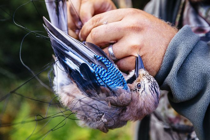 Nominace na Czech Press Photo 2019 - Životní prostředí