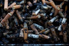 Tabákový obr Philip Morris má vyrábět léky na astma. Kozel zahradníkem, míní kritici