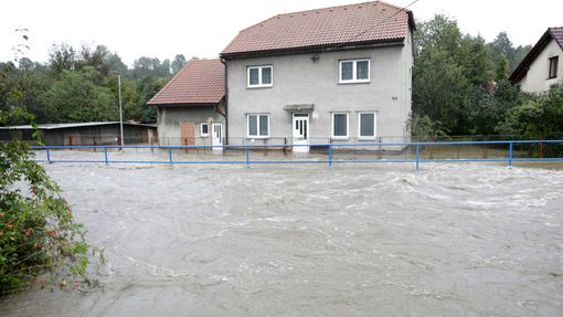 Potok Zrzávka na Novojičínsku.