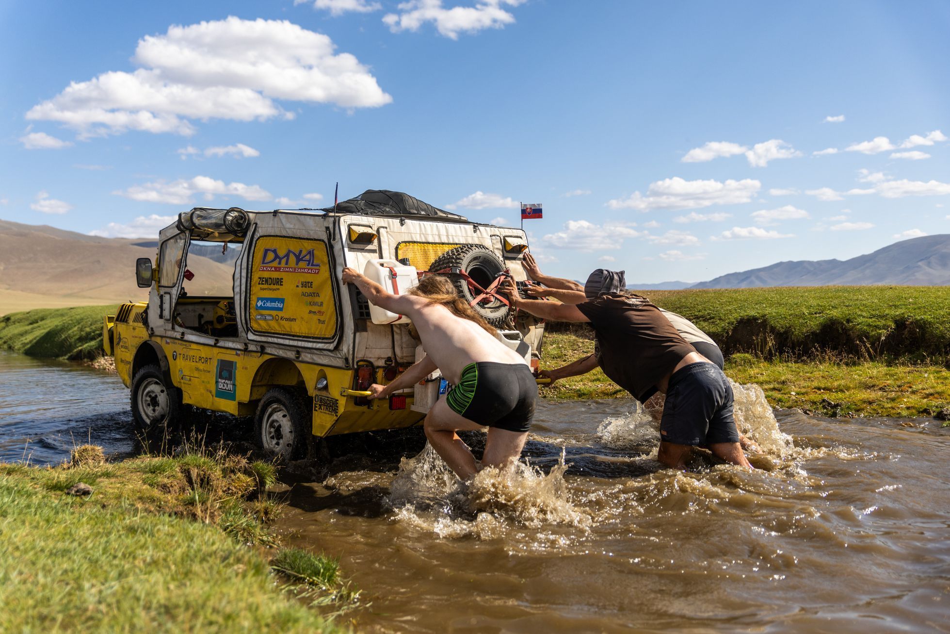 Žlutá žába pluje