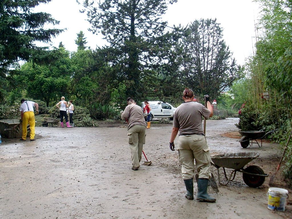 Úklid Zoo Praha