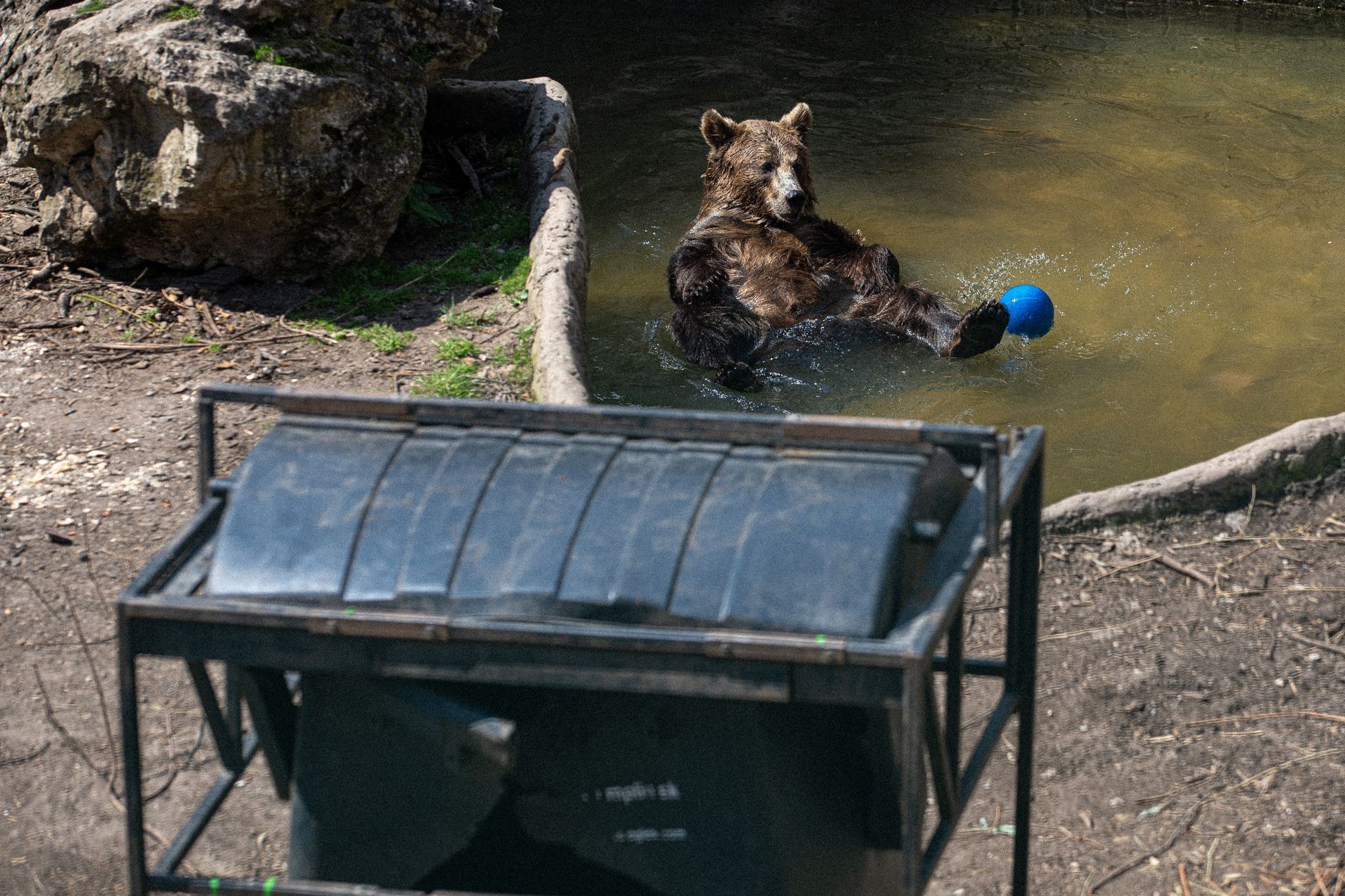 Slovensko a medvědi - zoo Bojnice a Mosty u Jablunkova
